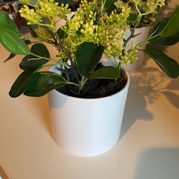 Faux potted plants, 4” tall - Picture 10 of 11